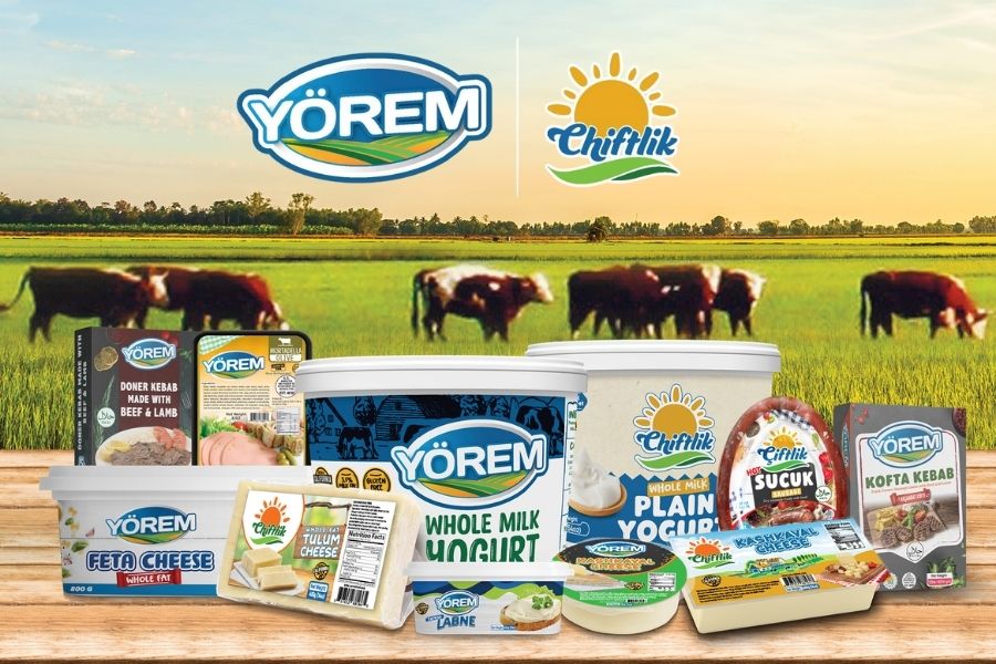 Yorem Food about Yorem Food about