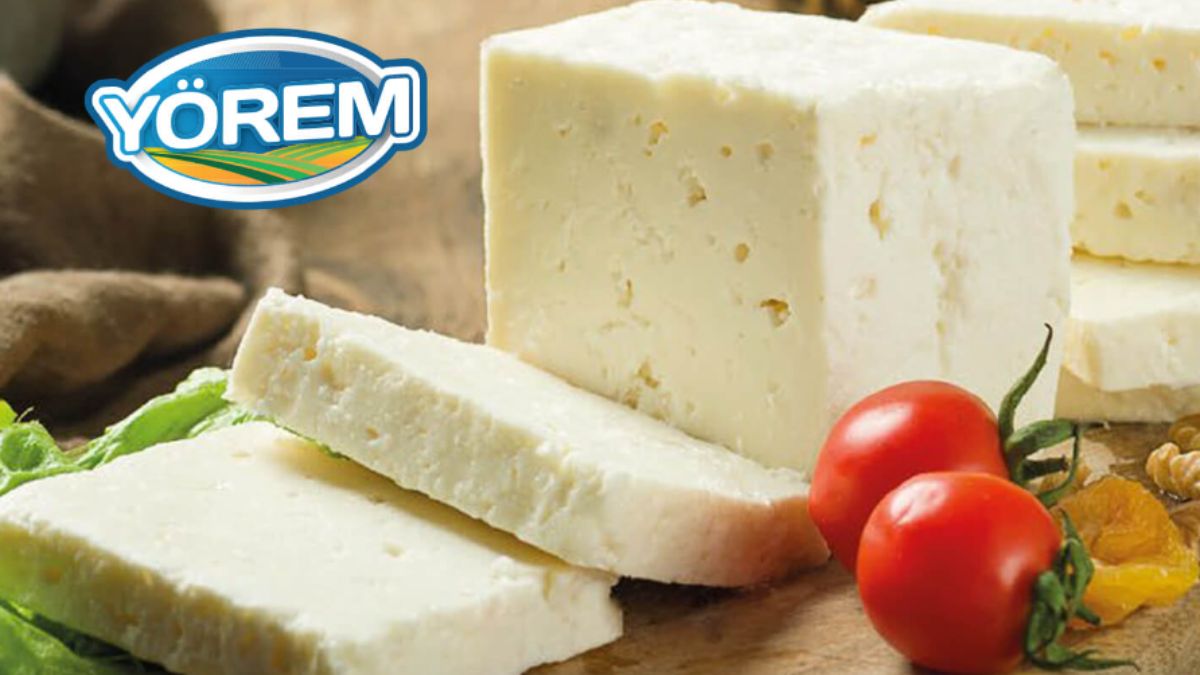 Yorem food cheese Yorem food cheese